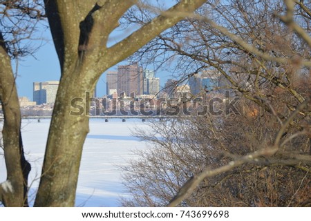 Background photography portrait picture of a city skyline with buildings and skyscrapers over a frozen white river ocean lake water ice through a dry forest trees