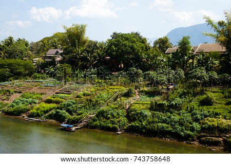 Agriculture on Mekong River - Laos
