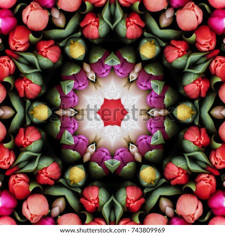 Multicolored tulips in the form of a picture of a kaleidoscope