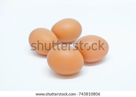 The egg group on white background