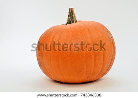 The pumpkin on the light backgroumd. Focus is on the center of the pumpkin.  /  The pumpkin