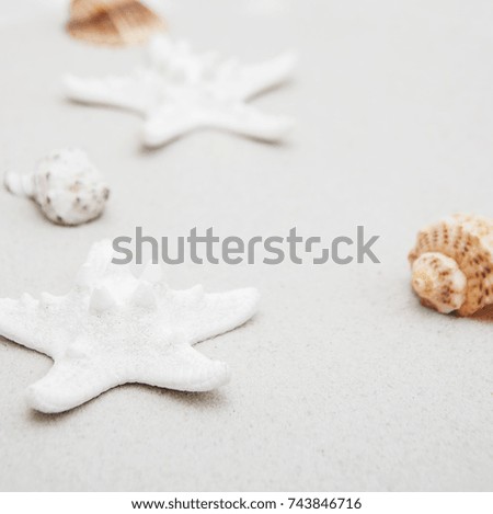 Summer background seashells and starfish border on sand