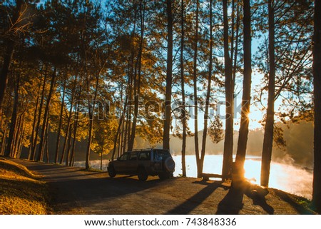 Autumn trees on the coast of a river  / soft focus picture / Vintage concept
