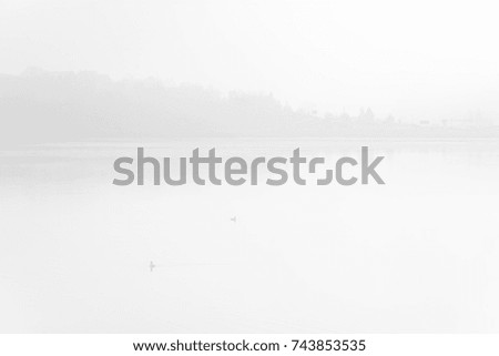 Minimal black and white contemporary art landscape. Lake in dense fog.