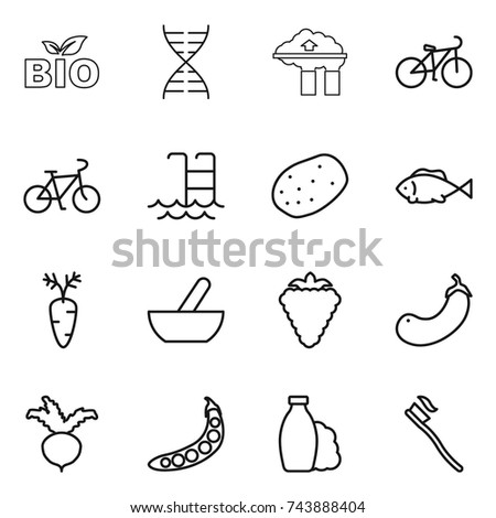 thin line icon set : bio, dna, factory filter, bike, pool, potato, fish, carrot, mortar, berry, eggplant, beet, peas, shampoo, tooth brush