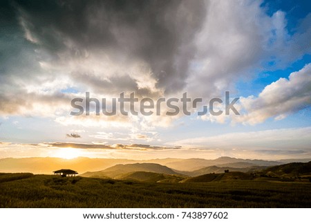 Sky, sun, field Yellow rice and surrounded by mountains.