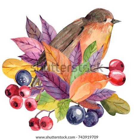 watercolor, postcard  bird and multi-colored leaves, berries, watercolor illustration