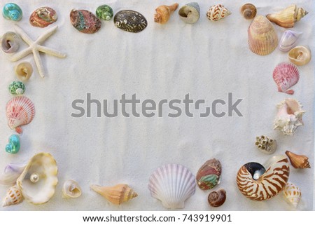 Shells on sand beach frame for background.
