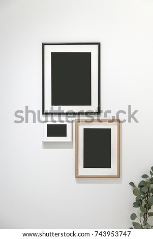 group of photo frames hanging against the white wall with planting for decoration