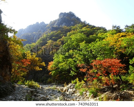 Yellow and red mountain view and road in autumn at Seorak mountain, one of the most beautiful spot in Korea

