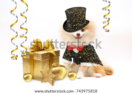 Dog with gift