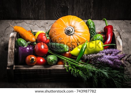 Fresh vegetables and herbs on a wooden burned rustic texture for background. Rough weathered wooden board. Toned.