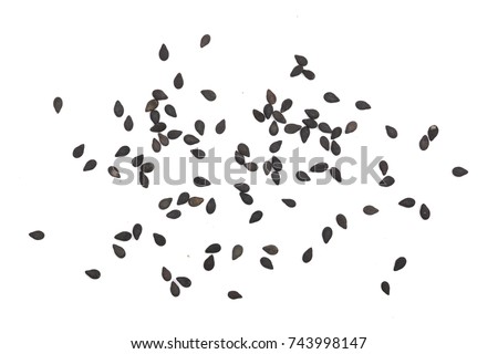 Black sesame seeds isolated on white background top view Royalty-Free Stock Photo #743998147