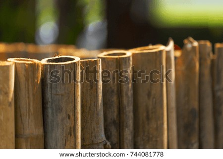 picture of a bamboo fence