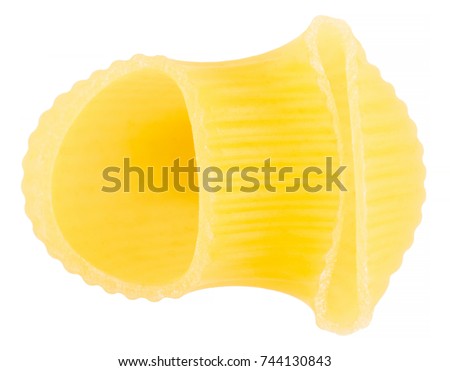 One pasta pipe rigate closeup isolated on white background
