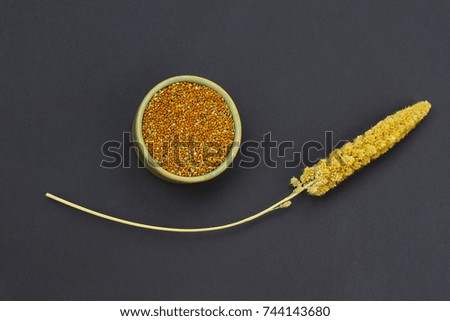 Yellow sprigs millet on a black background.
