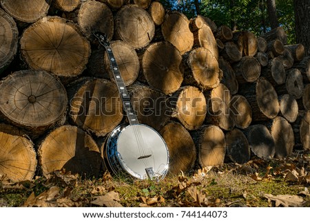 Banjo in the Afternoon Light Royalty-Free Stock Photo #744144073