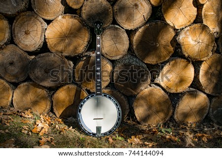 Banjo and a Wood Pile Royalty-Free Stock Photo #744144094