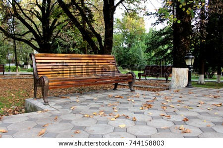 Autumn landscape. Brown bench in park in falling season. Loneliness.