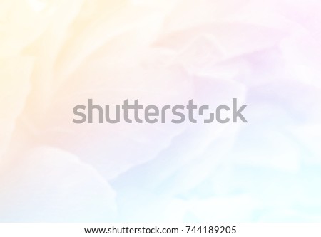 Blurred delicate rose petals, unfocused abstract flower background, pastel and soft floral card