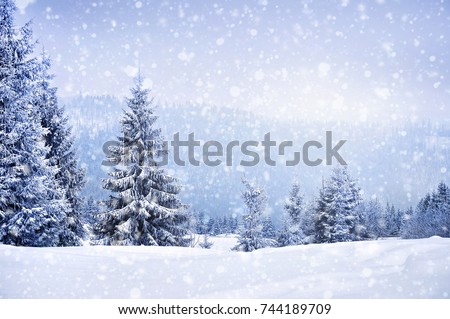 Fairy winter landscape with fir trees and snowfall. Christmas greetings concept Royalty-Free Stock Photo #744189709