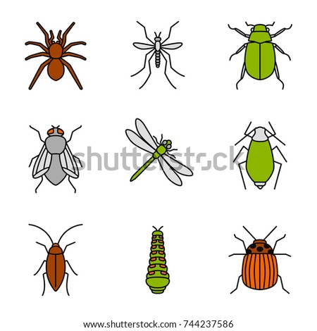 Insects color icons set. Spider, mosquito, maybug, cockroach, housefly, dragonfly, aphid, caterpillar, colorado bug. Isolated vector illustrations