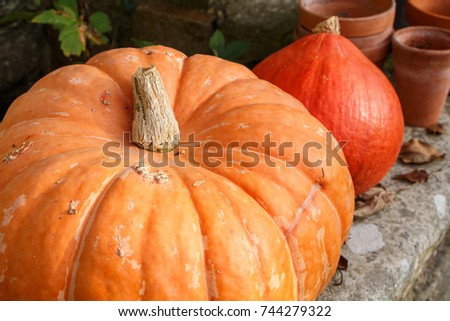 Pumpkins on the coping of a well in a garden during autumn