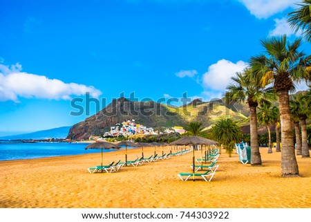 Amazing view of beach las Teresitas with yellow sand, umbrellas, longues and palm trees. Location: Santa Cruz de Tenerife, Tenerife, Canary Islands. Artistic picture. Beauty world
