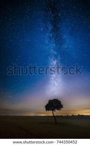 Night astrophotography: Tree under the Milky Way within Guadalajara countryside, Spain.