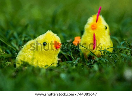 chicken  toy  in the grass
