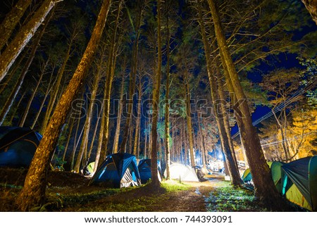 Camping in pine tree forest at night colourfull illuminate tent