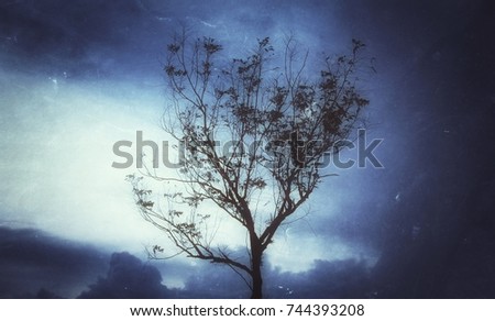 The tree stand alone is going to dried like alone person. Silhouette tree with blue sky after sunset time. Grunge background and copy space for your word in Halloween concept.