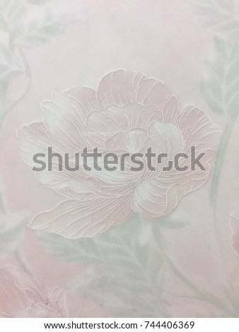 Pink rose picture,Drawing roses,Rose background image