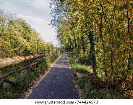 Bike path at Busto Garolfo (Milan, Lombardy, Italy) along the canal Villoresi at fall