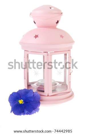 Pink garden lantern with blue Pansy flower