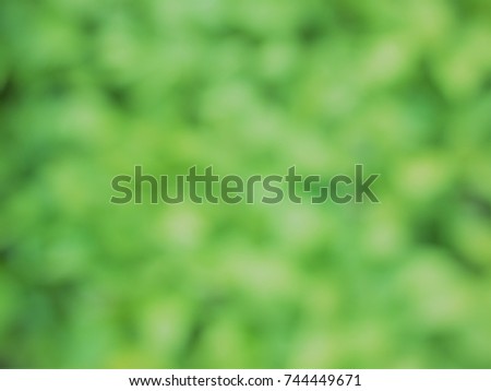 Blur green Leaf background texture pattern