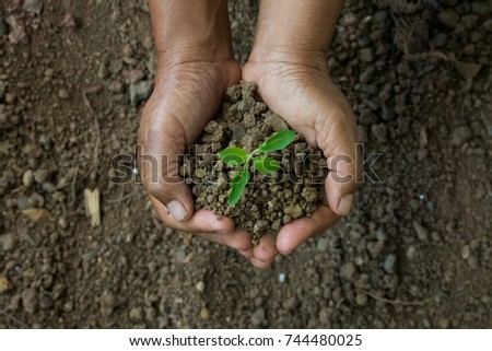 hands was carrying a bag of potting seedlings to be planted into the soil.