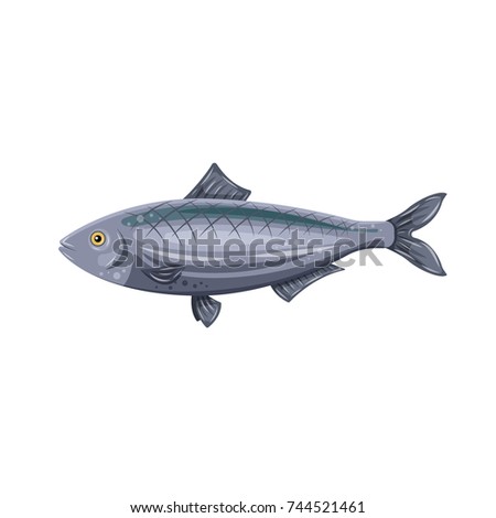 Vector icon flat herring fish isolated on white background. Marine fresh food