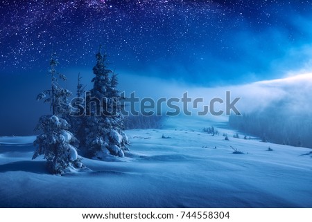 Fairy forest covered with snow in a moon light. Milky way in a starry sky. Christmas and New Year winter night.