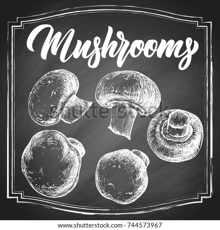 Botanical mushrooms hand drawn monochrome etching set isolated on black chalkboard vintage background. Vintage vector illustration.