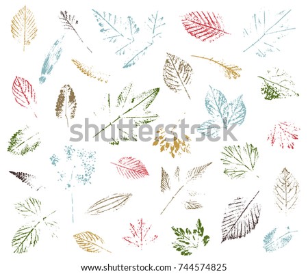 Set of leaf imprints, natural textures. Autumn foliage, vector colored illustration. Isolated elements for decorative floral design, vintage background.
