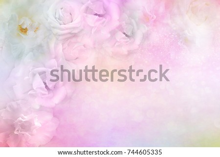beautiful white roses flower border on soft glitter background for valentine or wedding card in pastel tone ,copy space for text 