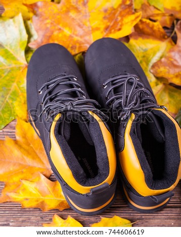 trekking shoes on a background of colorful autumn leaves