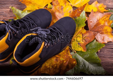 trekking shoes on a background of colorful autumn leaves