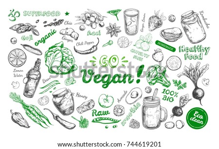 Go vegan. Healthy food. Vegetarian Big Set. Vector hand drawn isolated elements on white. Sketch style Royalty-Free Stock Photo #744619201