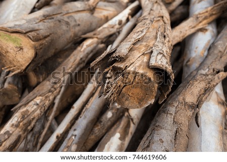 picture pile timber used