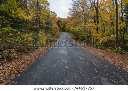 Autumn country road, Muskoka, Ontario, Canada. 