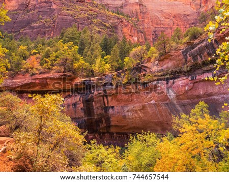 Zion National Park,Utah, United States.Autumnal color landscape