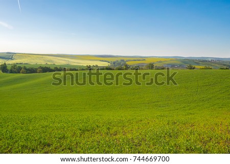 Fields in Moravian Tuscany at Sunset, South Moravian, Europe, Czech Republic