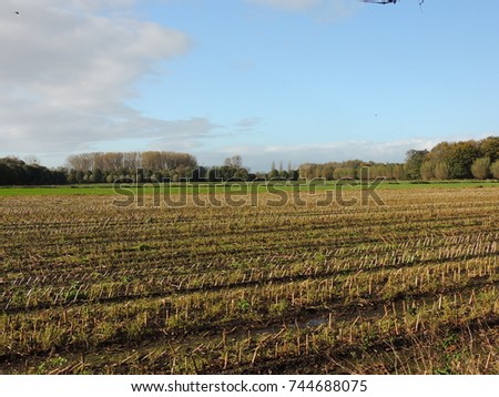 stubble field in october near Neersen, lower rhine area in Germany